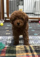 processed/c3a4cbc6-15f5-4bae-804d-463af1af2973/listing/9a3c2a19-c1c8-44cd-bf16-56b57216e824/0b2d41d1-3c52-43b7-96de-f8c1b8c3bf76