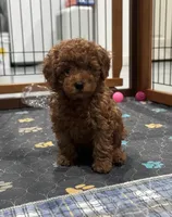 processed/c3a4cbc6-15f5-4bae-804d-463af1af2973/listing/9a3c2a19-c1c8-44cd-bf16-56b57216e824/73e9b5d7-da77-4ab1-8ef4-47b3603e8273