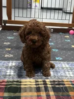 processed/c3a4cbc6-15f5-4bae-804d-463af1af2973/listing/fa790401-a5d6-4ebf-be9c-eb080a60b5c3/e694e345-cd40-4206-ae04-23d644df5d56