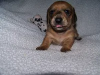 processed/c3b1f7e0-29dc-4a55-9e6a-d70fa2362faa/listing/89fd980a-5c26-4487-8ce1-fefc202b4de1/1eab4c13-b84d-419f-ac6f-f867e42093f4