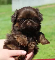 processed/c3b8cb20-d905-43ef-95a9-d690dcfb705e/facility/399021a9-02c3-4e67-9538-1a03685bfc68