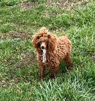 processed/c3b8cb20-d905-43ef-95a9-d690dcfb705e/facility/44f7baf8-410a-4dbc-86d0-332e179f5a78