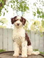 processed/c3b8cb20-d905-43ef-95a9-d690dcfb705e/facility/ab4bc8ad-e17c-4ea7-a4fa-12f68bedec94