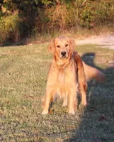 processed/c3b8cb20-d905-43ef-95a9-d690dcfb705e/facility/bd75a340-e0ad-490e-ae08-e50039929c3d