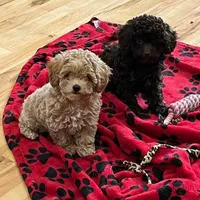 processed/c3b8cb20-d905-43ef-95a9-d690dcfb705e/facility/ead8c087-151a-434b-8463-202b1e3d1bb7