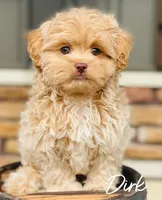 processed/c3b8cb20-d905-43ef-95a9-d690dcfb705e/facility/fda60e9c-6ee6-4352-8c72-a38a4e418d1b