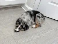 processed/c3c446d6-9937-40b1-80d9-c8f0eb2ca396/listing/23a1cafb-c3f6-4069-8940-24e9ff363625/111854f2-633c-402a-b7c0-4f662923c38f