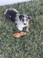 processed/c3c446d6-9937-40b1-80d9-c8f0eb2ca396/listing/23a1cafb-c3f6-4069-8940-24e9ff363625/46da6256-1f08-44db-a3a5-fad959964eb3