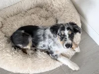 processed/c3c446d6-9937-40b1-80d9-c8f0eb2ca396/listing/23a1cafb-c3f6-4069-8940-24e9ff363625/aab4e397-fdec-4cbd-8c53-89bf91b7b1e8