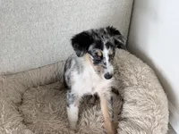 processed/c3c446d6-9937-40b1-80d9-c8f0eb2ca396/listing/23a1cafb-c3f6-4069-8940-24e9ff363625/f527c6ef-c6d0-4a3c-af65-e36fac75f0df