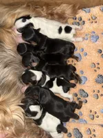 processed/c3c691e3-48bc-4f06-ba11-74c16ad075b2/facility/f7d0e916-818f-44cb-8e0f-ec275fd44e92