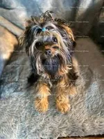 processed/c3de4828-53d3-49e5-8156-429837ba9a1c/listing/aa83c213-66f2-468f-9b68-95ed5a4722c5/2b36aaee-5c68-4ef9-aa27-1e23d64cfb74