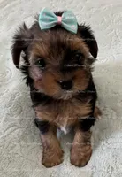 processed/c3de4828-53d3-49e5-8156-429837ba9a1c/listing/aa83c213-66f2-468f-9b68-95ed5a4722c5/4b469367-0d64-465a-b321-01509f4f4e5b