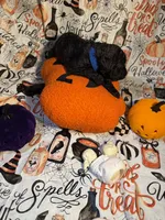 Judah, a male Poodle - Standard  for sale in Spring, TX – 3 of 8