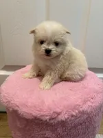 processed/c3fea910-0b8d-4493-967e-07698e26e983/listing/13426143-eea4-4d19-a104-6d9b3b5fcac8/1ac7c773-be0f-405d-b963-a2c1fdd6f515