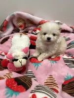 processed/c3fea910-0b8d-4493-967e-07698e26e983/listing/13426143-eea4-4d19-a104-6d9b3b5fcac8/cd5a2c12-4860-4c49-9a7a-1c4d404ff42b