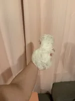 processed/c3fea910-0b8d-4493-967e-07698e26e983/listing/2c1c0079-bfc0-4b48-a99f-38d153701711/527ced2b-7ed4-4209-b818-68299a210cc8