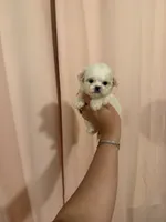 processed/c3fea910-0b8d-4493-967e-07698e26e983/listing/2c1c0079-bfc0-4b48-a99f-38d153701711/9f467ac4-48e9-4407-9735-9230a1a8397d