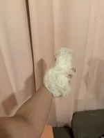 processed/c3fea910-0b8d-4493-967e-07698e26e983/listing/2c1c0079-bfc0-4b48-a99f-38d153701711/ae86f3b8-36d5-47b1-baa8-4f20cacefacd