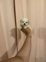 processed/c3fea910-0b8d-4493-967e-07698e26e983/listing/2c1c0079-bfc0-4b48-a99f-38d153701711/d530fa26-0db3-4995-84dc-1c8e733b03a8