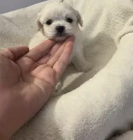 processed/c3fea910-0b8d-4493-967e-07698e26e983/listing/639c959b-0046-4dd7-a84a-72ef070efe4b/0467a934-2f7b-457b-bde0-4e333908e8ab