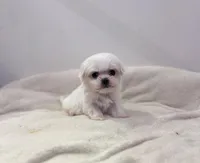 processed/c3fea910-0b8d-4493-967e-07698e26e983/listing/6b811ef8-da34-4b1b-9d4a-6ce710aaad44/01ba4f3d-adfb-4bfa-864f-18cf0afb387e