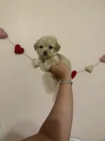 processed/c3fea910-0b8d-4493-967e-07698e26e983/listing/a7e519ee-432e-4f43-8332-c8c2311e8e78/a5b09a9e-c6a6-404c-a5f4-bbaa6d8ad7bc