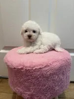 processed/c3fea910-0b8d-4493-967e-07698e26e983/listing/cdad72fa-70b3-4c40-bf9c-3f36ae5e71c0/1ec63eb4-ab12-455d-a6e7-9628b3125693