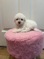 processed/c3fea910-0b8d-4493-967e-07698e26e983/listing/cdad72fa-70b3-4c40-bf9c-3f36ae5e71c0/5de7a516-3bc0-4689-90d8-8afec2291930