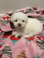 processed/c3fea910-0b8d-4493-967e-07698e26e983/listing/cdad72fa-70b3-4c40-bf9c-3f36ae5e71c0/7d84e43d-52ca-4b71-8a1f-6b66028ebad6