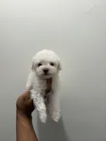 processed/c3fea910-0b8d-4493-967e-07698e26e983/listing/cdad72fa-70b3-4c40-bf9c-3f36ae5e71c0/9fe2728f-6e9d-4ff6-88b0-ebcb4da2b3ba