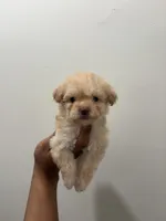 processed/c3fea910-0b8d-4493-967e-07698e26e983/listing/d1a77736-36da-404b-b902-5eebe101c86f/01c6896e-12f4-4414-801a-b902b225d806