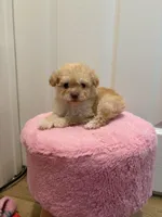 processed/c3fea910-0b8d-4493-967e-07698e26e983/listing/d1a77736-36da-404b-b902-5eebe101c86f/047bb1e3-b191-4867-b2de-07908a8db695