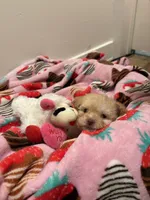 processed/c3fea910-0b8d-4493-967e-07698e26e983/listing/d1a77736-36da-404b-b902-5eebe101c86f/4a9fe430-8fb8-486c-848f-705990f912e0