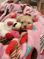 processed/c3fea910-0b8d-4493-967e-07698e26e983/listing/d1a77736-36da-404b-b902-5eebe101c86f/a6ebe75c-43b5-4ada-a9c9-d2b994ba144b