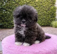 processed/c3fea910-0b8d-4493-967e-07698e26e983/listing/db8b4f4f-41c1-4b82-9bf3-e1b175cab2fc/29b98f37-6a33-40fc-aac9-18ab4d78f6b6