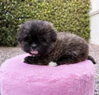 processed/c3fea910-0b8d-4493-967e-07698e26e983/listing/db8b4f4f-41c1-4b82-9bf3-e1b175cab2fc/a850e382-7711-4232-986b-8779a99a4d73