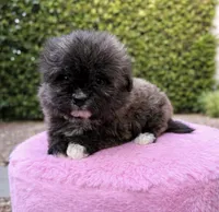 processed/c3fea910-0b8d-4493-967e-07698e26e983/listing/db8b4f4f-41c1-4b82-9bf3-e1b175cab2fc/c9c25fe8-79f5-44e4-8a15-023a8fbb00f1