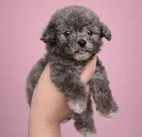 processed/c3fea910-0b8d-4493-967e-07698e26e983/listing/eef33732-a5af-4c8a-b546-594f6fbe0dd4/ac7e43de-841b-4891-a771-5f9633876309