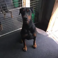 processed/c3feb05b-6c7f-4e85-a024-7b27c5bc9c12/facility/08c3d7fb-2483-48e3-a21b-711e9fd03aab