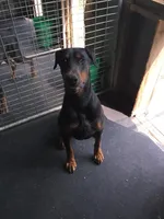 processed/c3feb05b-6c7f-4e85-a024-7b27c5bc9c12/facility/08c3d7fb-2483-48e3-a21b-711e9fd03aab