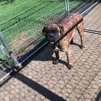 processed/c3feb05b-6c7f-4e85-a024-7b27c5bc9c12/facility/1cea671d-8d28-425e-b755-74bcc85b2a1d