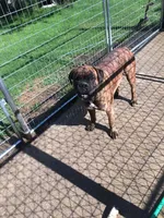 processed/c3feb05b-6c7f-4e85-a024-7b27c5bc9c12/facility/1cea671d-8d28-425e-b755-74bcc85b2a1d