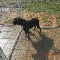 processed/c3feb05b-6c7f-4e85-a024-7b27c5bc9c12/facility/223f4678-e881-4657-b4b5-eb274b01d32b