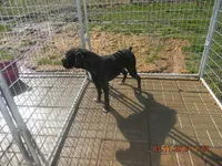 processed/c3feb05b-6c7f-4e85-a024-7b27c5bc9c12/facility/223f4678-e881-4657-b4b5-eb274b01d32b