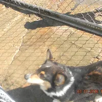 processed/c3feb05b-6c7f-4e85-a024-7b27c5bc9c12/facility/36962777-abde-4414-aea0-c37330363d40