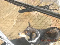 processed/c3feb05b-6c7f-4e85-a024-7b27c5bc9c12/facility/36962777-abde-4414-aea0-c37330363d40