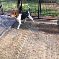 processed/c3feb05b-6c7f-4e85-a024-7b27c5bc9c12/facility/3d2f95cf-e9e4-41de-a101-b122a0b06c37