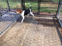 processed/c3feb05b-6c7f-4e85-a024-7b27c5bc9c12/facility/3d2f95cf-e9e4-41de-a101-b122a0b06c37