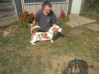 processed/c3feb05b-6c7f-4e85-a024-7b27c5bc9c12/facility/817e3312-ff4c-4579-8621-9e99bcb289a6